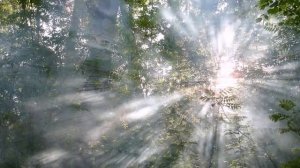 СУДЬБА-СУДЬБИНУШКА