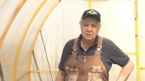 Голова садовая - Редис, дайкон и мокрица