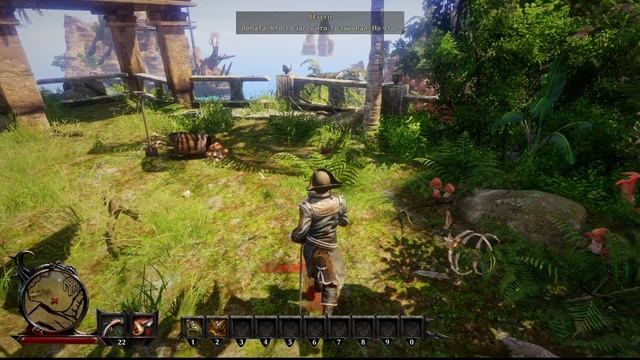 Risen 3 Дай ка немного взгляну