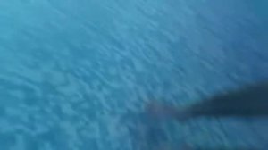 #8 - Аквапарк Мореон (лето 2017). Аквапарки Москвы