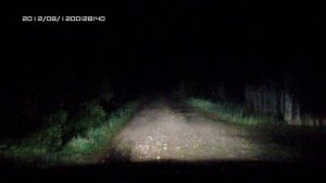 2.Галогеновые лампы KOITO White Beam Н7 ближний и НВ4 ПТФ