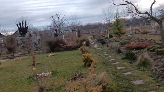 Знайомимось-Ялівці#ялівцівланшафті#ялівцівсаду#топіаризялівця#ялівецьсорти#видиялівців смотреть онлайн