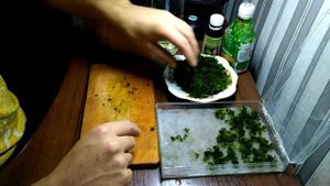 Как высаживать яванский мох  Java Moss / How to plant java moss Java Moss