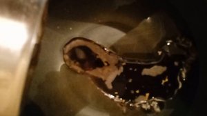 Комплексная#чистка#отливка#воском#часть_1