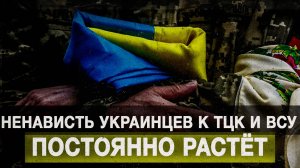Ненависть украинцев к ТЦК и ВСУ постоянно растёт