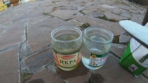Первая весенняя подкормка роз по листу