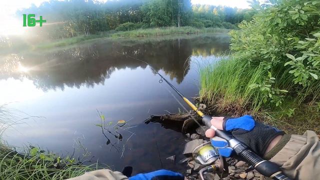 Где щука? Выгулял приманки: джерки, воблера, силикон на хищника в озере.