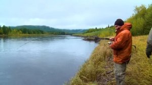 Рыбалка в Якутии, река Мая, таймени!