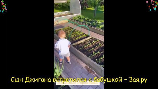 Годовалый сын Джигана подарил маме цветы и мило улыбался, увидев себя в камере. Новые видео 2021 смотреть онлайн