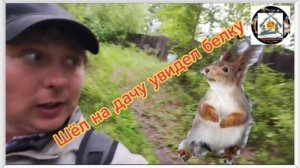 Шол на Дачу увидел[🐿️ Белку.]1002040350.mp4