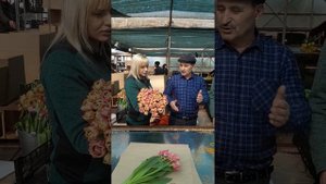Пионовидный тюльпан Columbus + упаковка в банчи и коробку. Тепличный комплекс Южный Полевод.