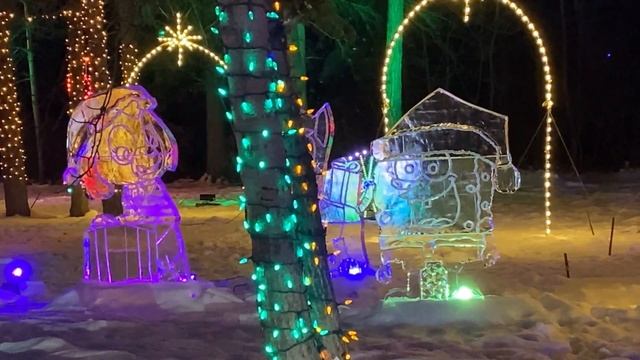 Winter Wonder Forest Edmonton Canada Video | Winter Attractions In Edmonton