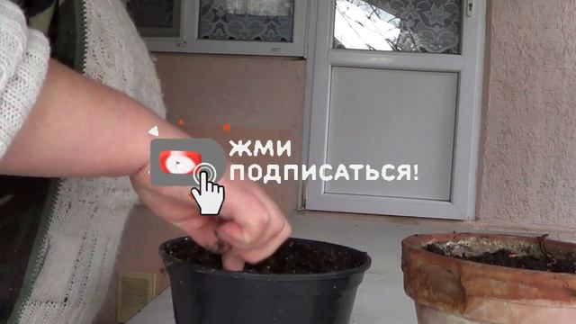 № 651 а домашняя работа не заканчивается __ жарю.сею.стираю от.17.03.2023г.