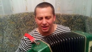Андрей Державин - Брат ты мне или не брат (игра на баяне cover)