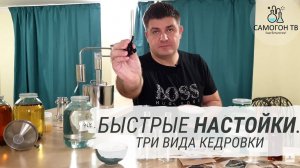 Быстрые настойки. Три вида кедровки.
