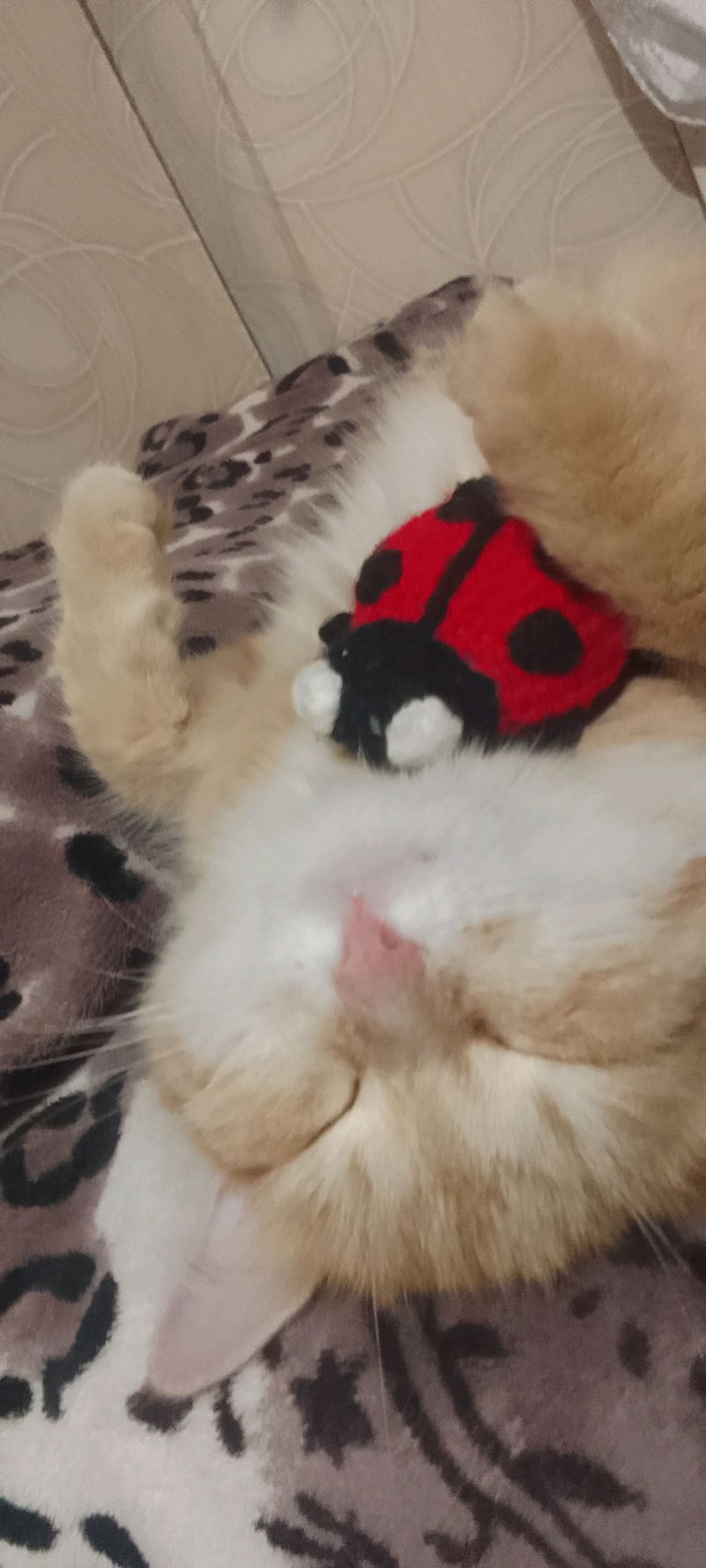 стримчик ☕❤💋