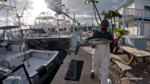 2 Different Worlds - Offshore vs Inshore (A couple reasons I Love the Florida Keys)