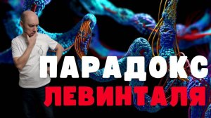 Что такое парадокс Левинталя? Душкин объяснит