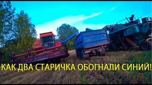 Уборочная .Овес сыпет как из пушки. Не дают мне отдохнуть.