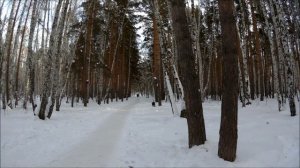 Экопарк, 27 января 2024г.  Гуляем, лыжня, каток, сугробы....в Челябинске.