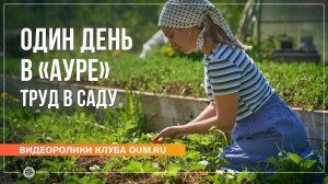 Один день в ретритном центре «Аура». Труд в саду