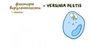 Чума (микробиология лекции)