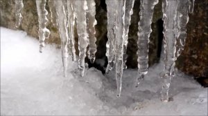 Кап, кап, кап, звенят капели