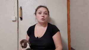 Кто такой заводчик?