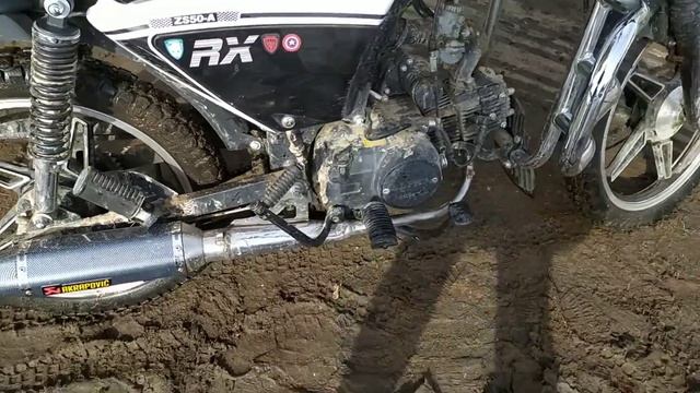 НОВЫЙ ВЫХЛОП АКПРАПОВИЧ НА АЛЬФУ УЖЕ УСТАНОВЛЕН