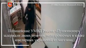 Полицейские в Пушкино задержали двоих мужчин, подозреваемых в краже ювелирных украшений