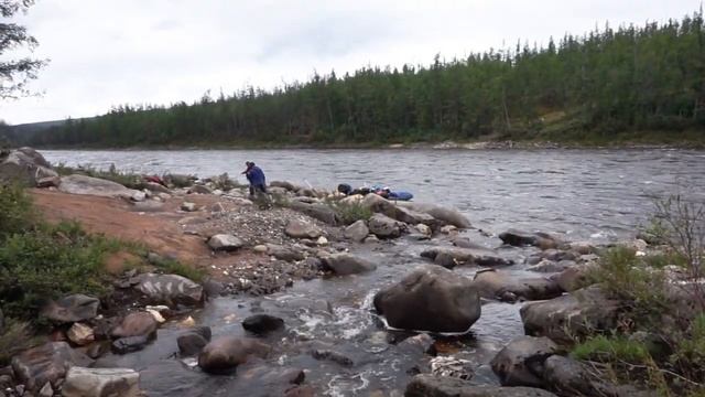 Цыпа 2018 смотреть онлайн