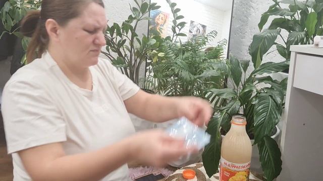 Насекомые в цветочных горшках. КАК С ЭТИМ БОРОТЬСЯ.... смотреть онлайн