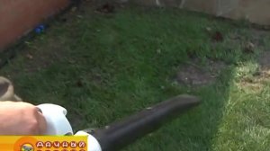 Садовые пылесосы