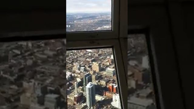 The CN tower view