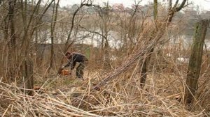 Как благоустроить заросший участок