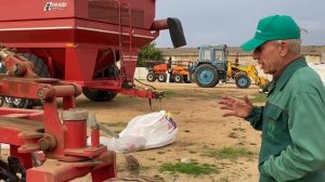 Сев по льну после очёса