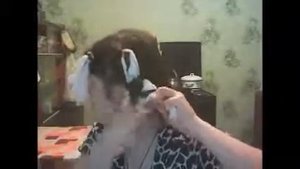 локоны с помощью влжных салфеток