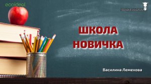 Школа новичка | Первые шаги в бизнесе