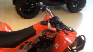 BRP CAN-AM DS 90