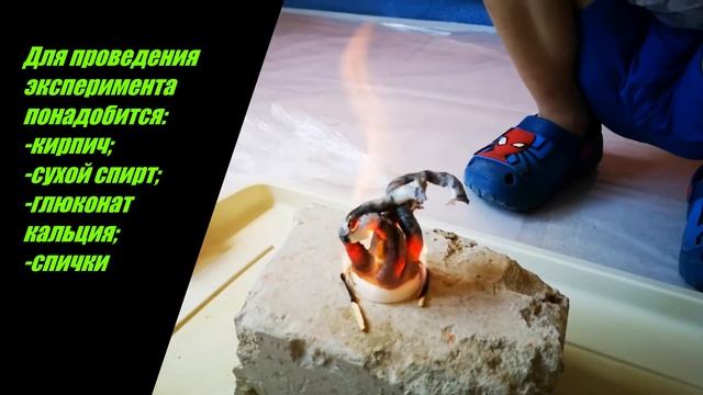 Эксперименты для детей (практика и теория) - Фараоновы змеи (фараонова змея) химический опыт.