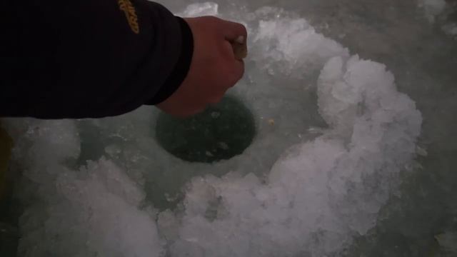 Рыбалка в Приморском крае. Ловля селедки, наваги, камбалы