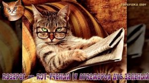 КАКОЙ ТЫ СКАЗОЧНЫЙ КОТИК ПО ЗНАКУ ЗОДИАКА. Какая ты Кошка по Знаку Зодиака