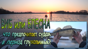 ВИБ (Раттлин) или вертикальная блесна? Что эффективнее, при ловле СУДАКа, в период глухозимья?