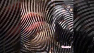 Эдик Солоницкий Бокал вина.