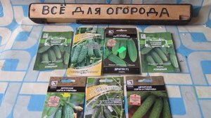 ЭТИ СОРТА ОГУРЦОВ ЗАВАЛЯТ ВАС УРОЖАЕМ , САЖАЛ И БУДУ САЖАТЬ НА 2023 год