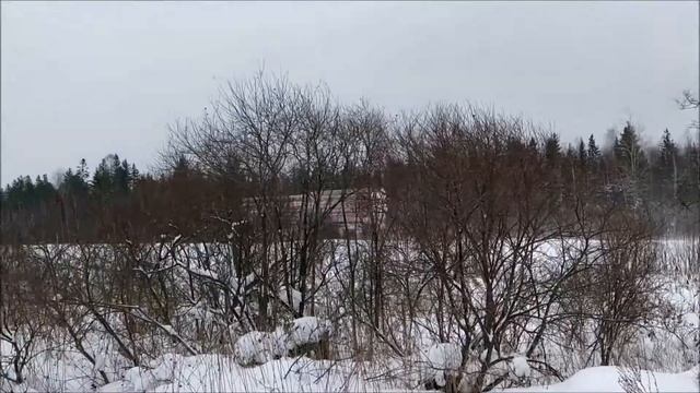 Очистка теплицы и цыплятника от снега 30 01 2021