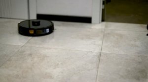 Атака китайского робота - пылесоса на кота, который ему мешал...