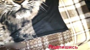 Как удлинить платье (63)/Как удлинить летнее платье кружевом/Легко и просто