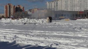 РЕКОНСТРУКЦИЯ ОПЕРАЦИЯ МАГИСТРАЛЬ 2019