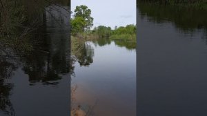 КАК МЫ РАБОТАЛИ НА ТОМАТЫ И КАКОЙ ДОХОД С 1 ГЕКТАРА БИЗНЕС ПОЛЕ ЗЕМЛЯ ОГОРОД  ДАЧА УЧАСТОК ОВОЩИ.